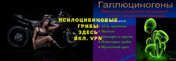 ALPHA PVP Нефтекумск